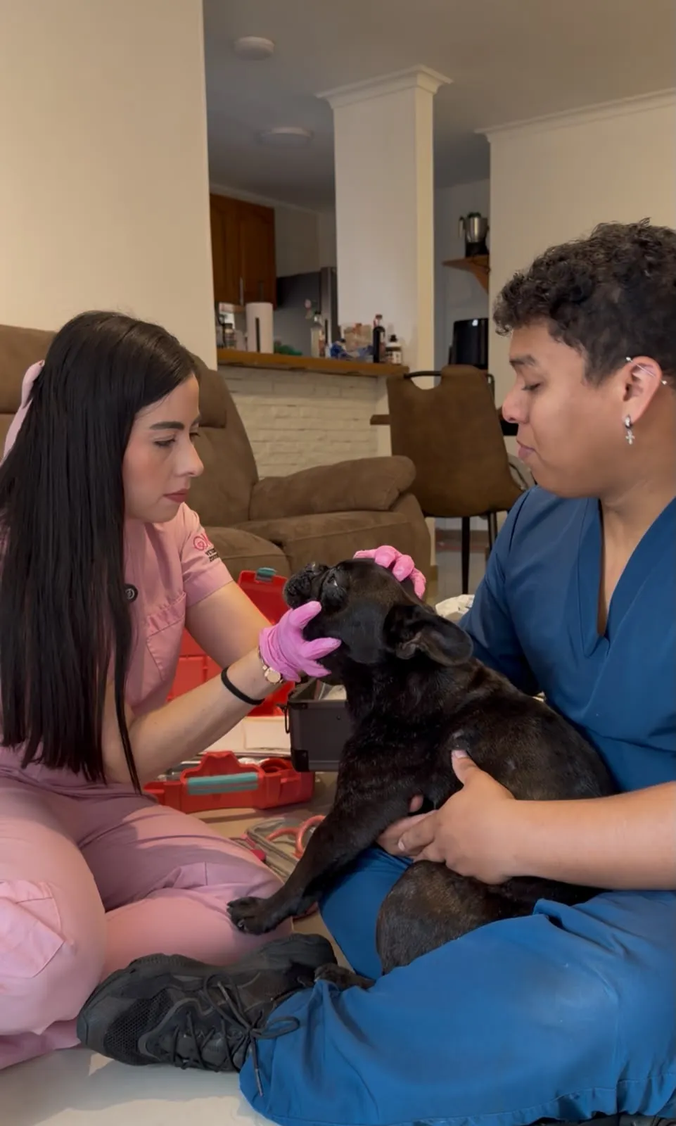 María Valentina, médica veterinaria, atendiendo a un perro en un hogar de Caldas