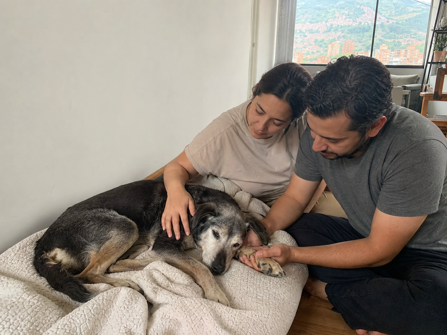 Familia acompañando a un perro mayor y enfermo en casa en Medellín