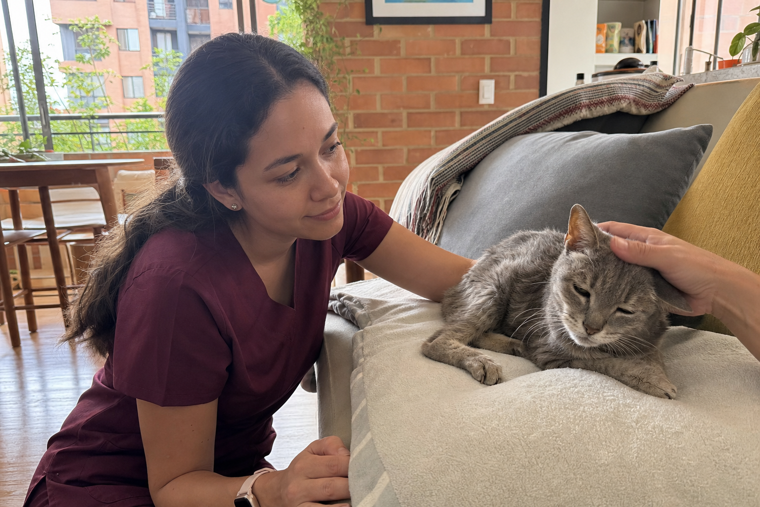 Médica veterinaria acompañando a un gato mayor enfermo en un hogar